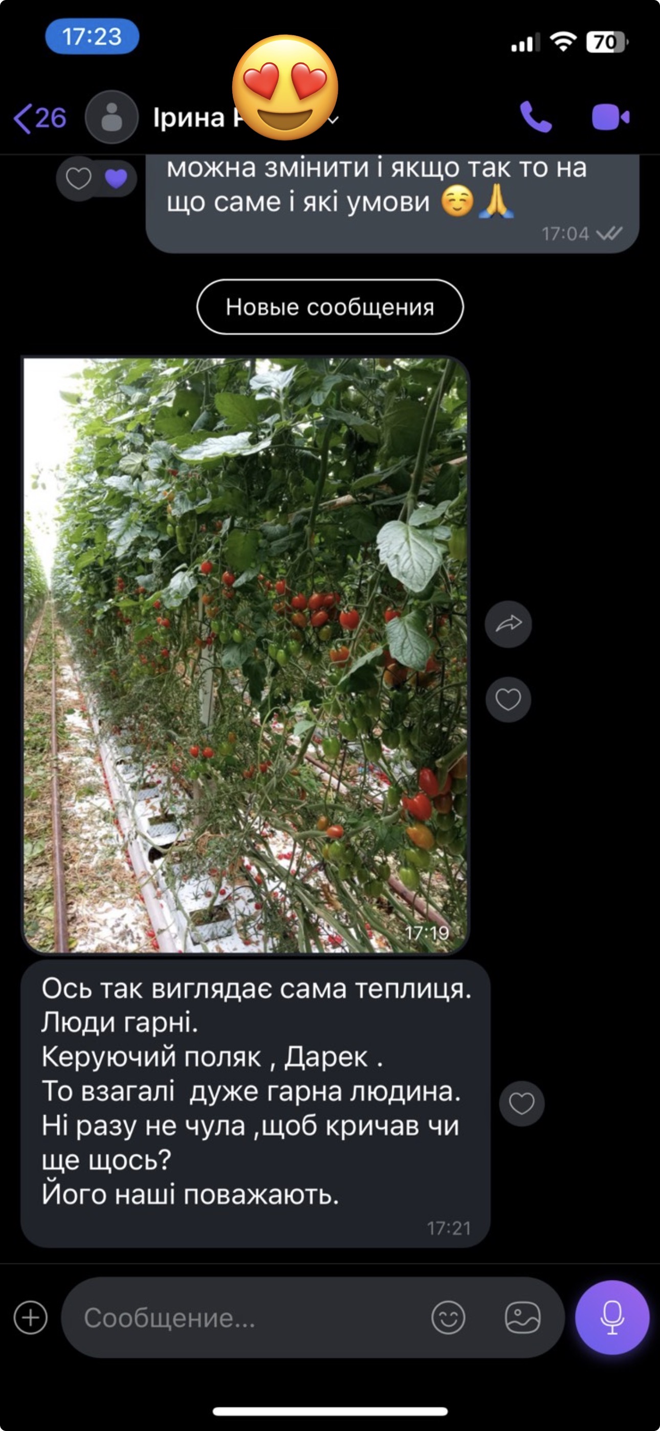 Chat screenshot: photo of a tomato greenhouse in the Netherlands